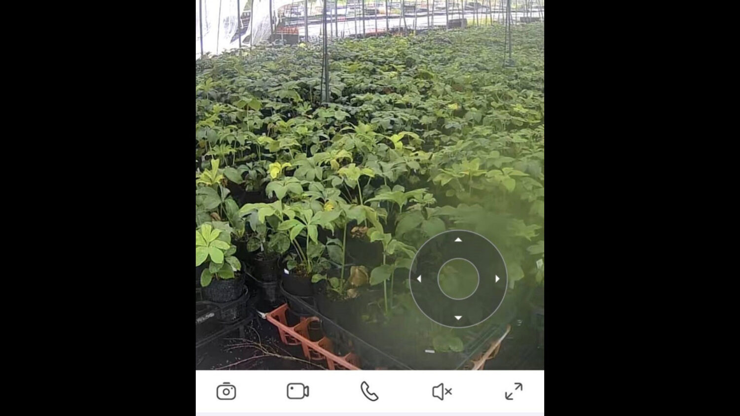 スマートフォンに送られてきた監視カメラの映像