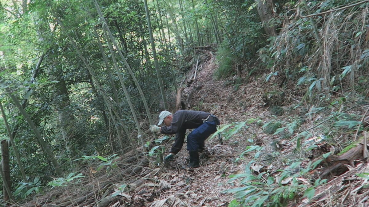 黒坂要害山の山道造りをする三島秀典さん