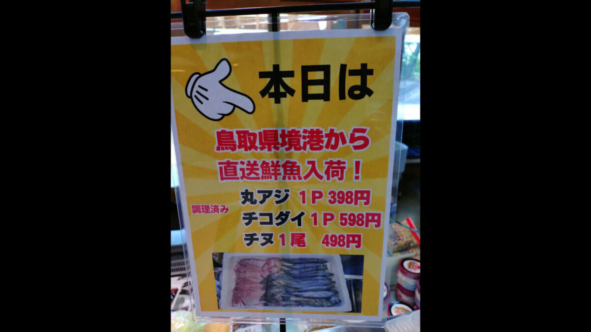 鳥取県境港から仕入れた鮮魚のPOP