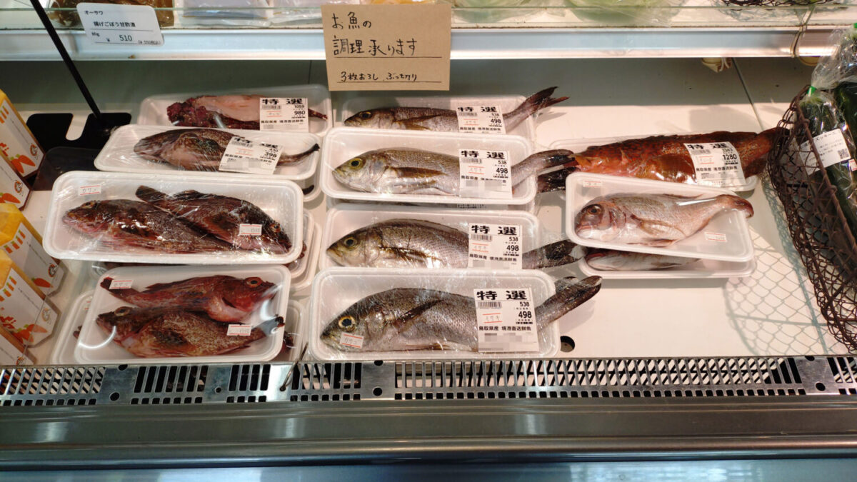 鳥取県境港から仕入れた鮮魚