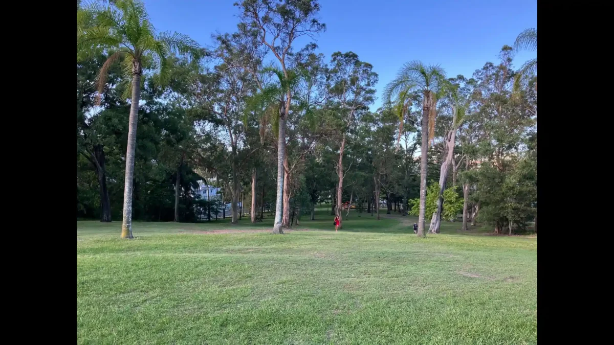 ブリスベンの市内には自然豊かな公園がある