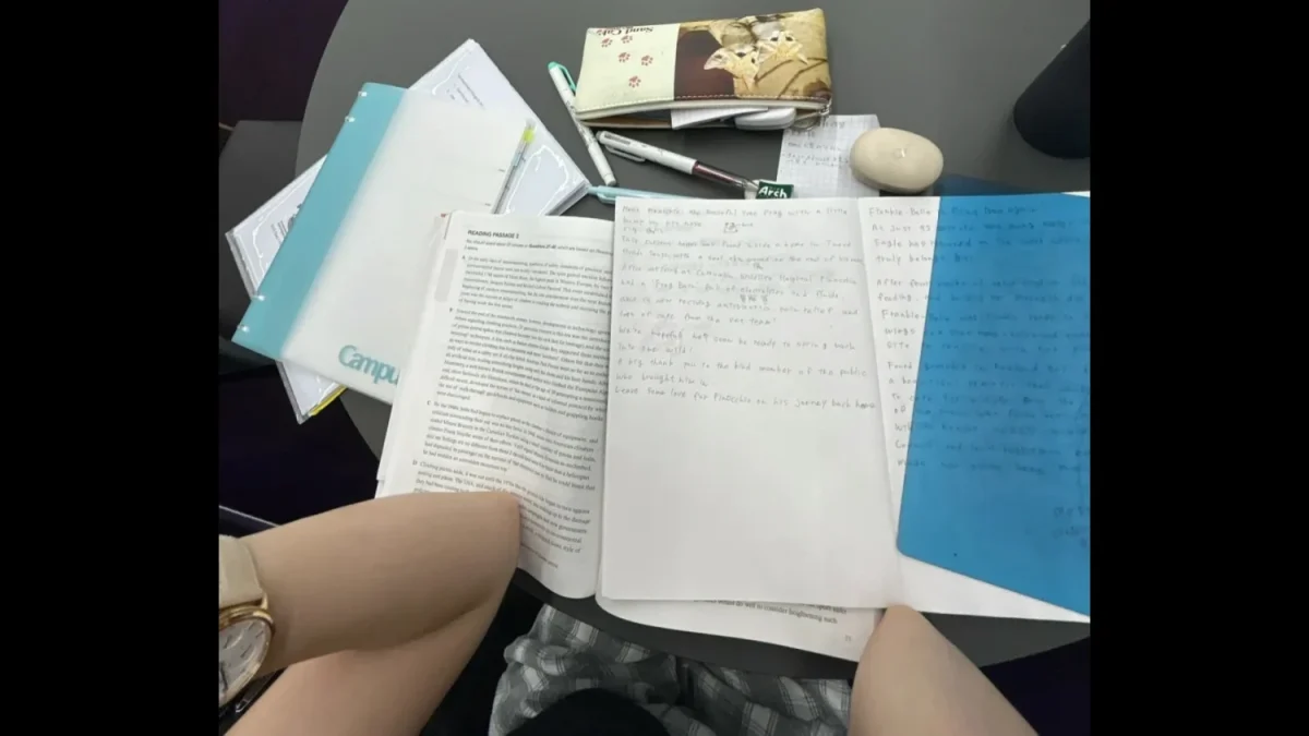 オーストラリアの図書館で英語の勉強をする田成陽乃さん