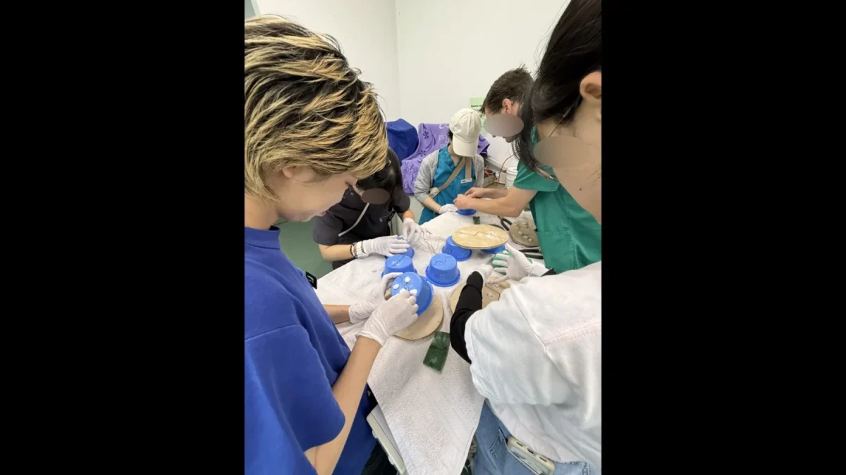 模型を用いて亀の甲羅の修復を練習する田成陽乃さん（左）